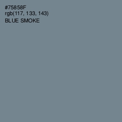 #75858F - Blue Smoke Color Image